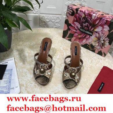 Dolce  &  Gabbana Crystal Heel 10.5cm Python Mules Camel 2021